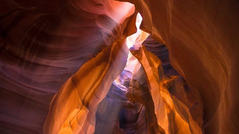 预测市场网站AI数据看板界面